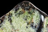 Polished, Free-standing, Green Dendritic Agate - Madagascar #113673-4